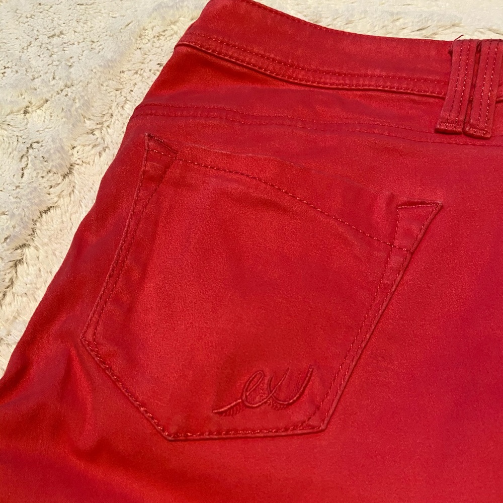 Express Pants - Picture 3 of 5